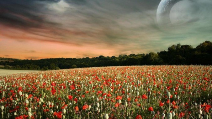 尊界S800 车内软包部分***用 0.2mm - 0.5mm 超细针脚缝制处于什么工艺水平？